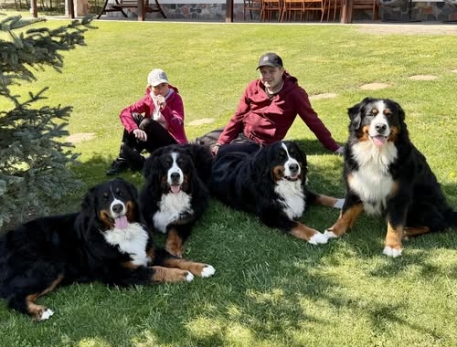 Nasze psy w pracy – dogoterapia